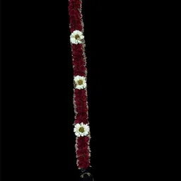 VAGHBHATT Bharatanatyam Poola Jadalu Kunjalam Billalu Traditional Hair Braid For Weddings-31