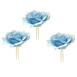 Hair Flare Women Set Of 3 U Pins-2