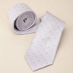 Louis Philippe Men Fashion Embroidered Tie-image-42