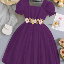 Miss & Chief Embellished Puff Sleeve Net A-Line Dress-picture-4