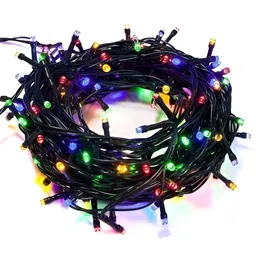 ENORMITY Black Rice Shape String Lights-26