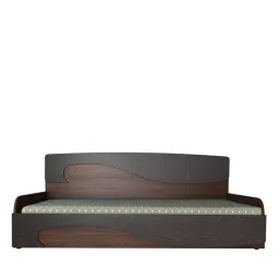 crystal furnitech Herald Pull-Out Sofa Cum Bed in Walnut & Wenge Finish with Storage-picture-20