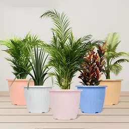 Kuber Industries Pink & Peach 4 Pieces Lightweight Planters-image-92