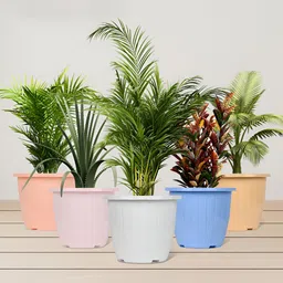 Kuber Industries White & Pink 4 Pieces Textured Lightweight Planters-image-95