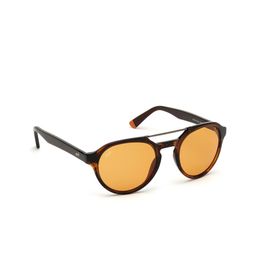 WEB EYEWEAR Men Oval Sunglasses with UV Protected Lens We02785352E-Brown-image-91