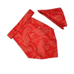 Paisley Design Cravats-image-90