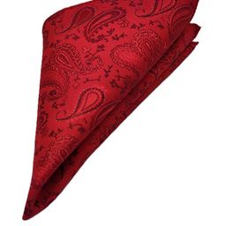 VOICI Paisley Printed Pocket Squares-image-85
