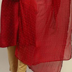 Rangriti Printed Dupatta with Zari image 3