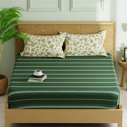 KOPA Green & Yellow Striped 152 TC Queen Bedsheet with 2 Pillow Covers-image-65