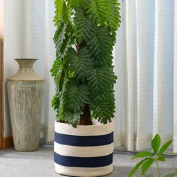 Umami Studio Blue & White Striped Storage Basket & Planter Cover-image-32