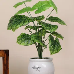 FOLIYAJ Green 1 Pieces Alstroemeria Money Artificial Plant-image-89