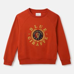 Blue Giraffe Boys Embroidered Cotton Pullover Sweatshirt-image-110