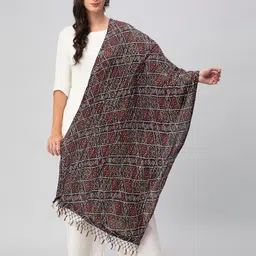 Aditi Wasan Tasselled Printed Dupatta-picture-26
