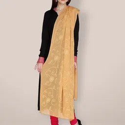 Dupatta Bazaar Embroidered Dupatta-picture-31