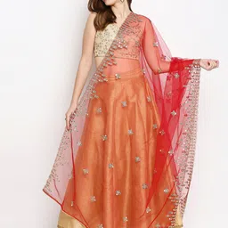 Dupatta Bazaar Red & Gold-Toned Ethnic Motifs Embroidered Dupatta with Mirror Work-image-25