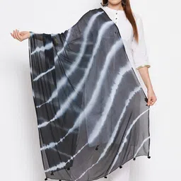 Clora Creation Women Black & White Striped Dupatta-image-58