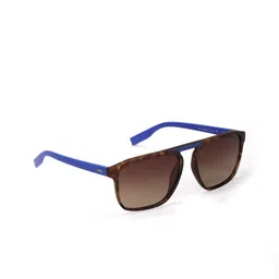 ENRICO Men Brown Lens & Blue Wayfarer Sunglasses with Polarised EN P 4018 C1-73