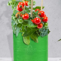 TRUSTBASKET Set Of 10 Green Round Grow Bags-26