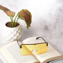 HAUTE SAUCE by Campus Sutra Unisex Yellow Lens & Black Oversized Sunglasses with Polarised Lens-image-36