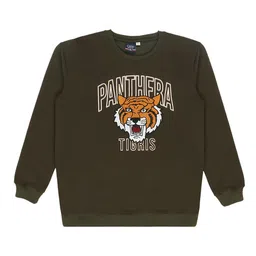 CAVIO Boys Graphic Printed Cotton Pullover-picture-33