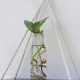 VAH Kya Bat Hai Brown Wooden 1 Layer Jute Rope Wall Hanging Shelf-image-37