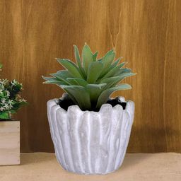 Ekhasa Green 1 Pieces Succulent Artificial Plant With Pot-image-63