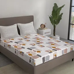 STELLAR HOME Brown & White 104 TC Skin-Friendly Queen Bedsheet Set 2.24 m x 2.74 m-picture-12