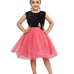 Arshia Fashions Embellished Net Fit & Flare Dress-picture-52