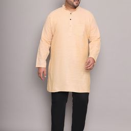 Enchanted Drapes Men Mandarin Collar Pure Cotton Thread Work Kurta-image-51