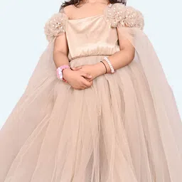 Modish Net Fit & Flare Maxi Dress image 4