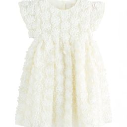 NEXT Girls Floral Applique Lace Fit & Flare Dress-picture-0
