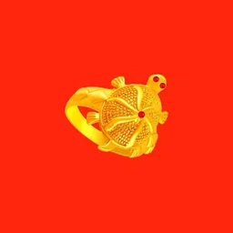 Dynamic Retail Global Unisex Gold Ring-picture-22