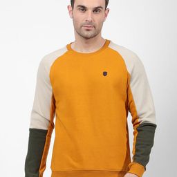 Numero Uno Men Colourblocked Sweatshirt-image-58