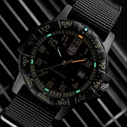 Luminox Men Dial & Bracelet Style Straps Analogue Multi Function Watch XS.0333-17