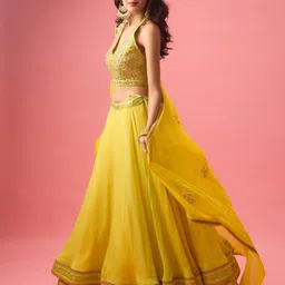 Nikasha Embroidered Sequinned Ready to Wear Lehenga & Blouse With Dupatta-image-60
