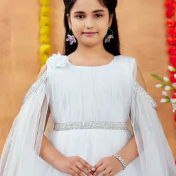 Aarika Net A-Line Dress image 2