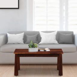woodsworth from pepperfry Eva Sheesham Wood Coffee Table In Honey Oak Finish-picture-28