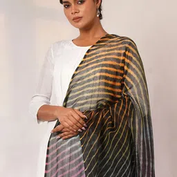 JAYPORE Striped Dupatta image 3