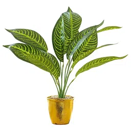 The Better Home Green & Gold Toned Leaves Plant With Pot-12