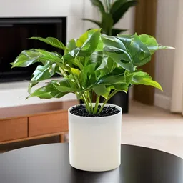 The Better Home Green & White Artificial Green Leaves Plant With Pot-1