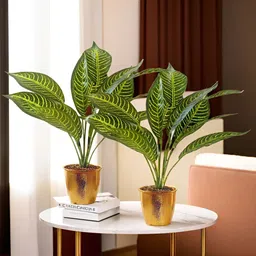 The Better Home Green & Gold Toned 2 Pieces Artificial Plants With Pot-1