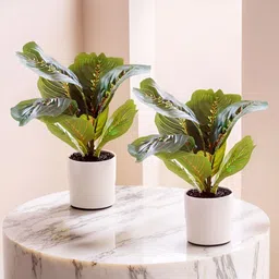 The Better Home Green & White 2 Pieces Artificial Plant With Pot-24