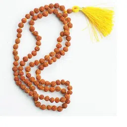Divine souvenirs Brown Alloy Necklace-54