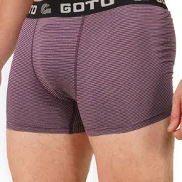 GOTO Basic Briefs NYLON LY PRINT OUTER EL TRUNK BROWN STRI image 5