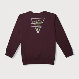 Palm Tree Boys Graphic Printed Cotton Sweatshirt-image-41