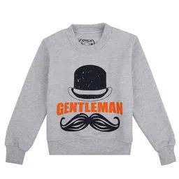 DYCA Boys Grey Printed Round Neck Sweatshirt-image-21