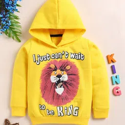Lazy Shark Boys Graphic Printed Hooded Cotton Pullover Sweatshirt-17