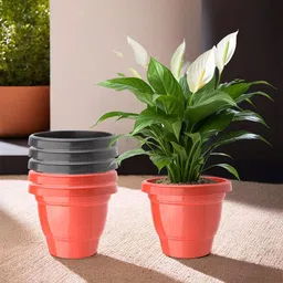 Kuber Industries 6 Pcs Red & Black Lightweight Planters-35