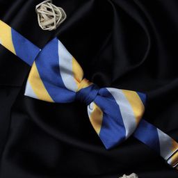 PELUCHE Unisex Blue & Yellow Striped Bow Tie-image-68