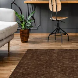 Saral Home Brown Textured Carpet-image-13